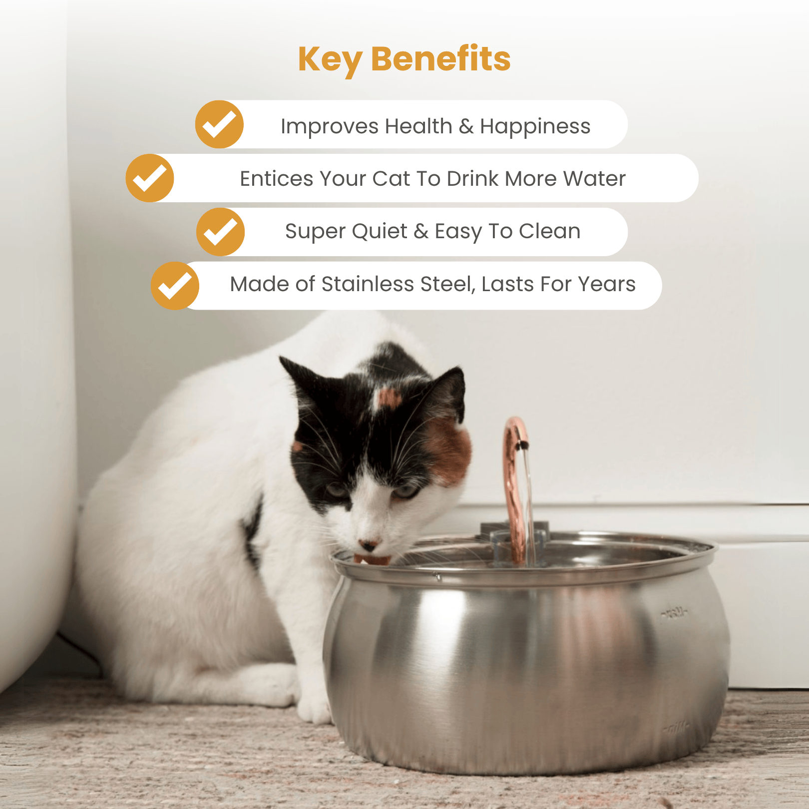 Your Cat’s Water Bowl Is Dirtier Than You Think