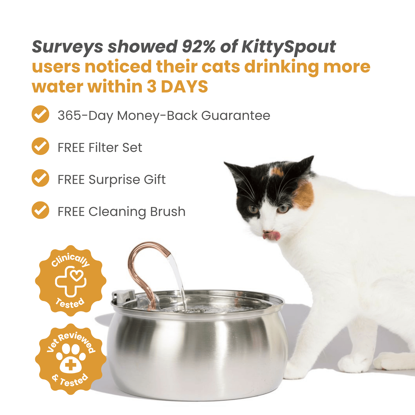 Better Hydration for a Healthier, Happier Cat