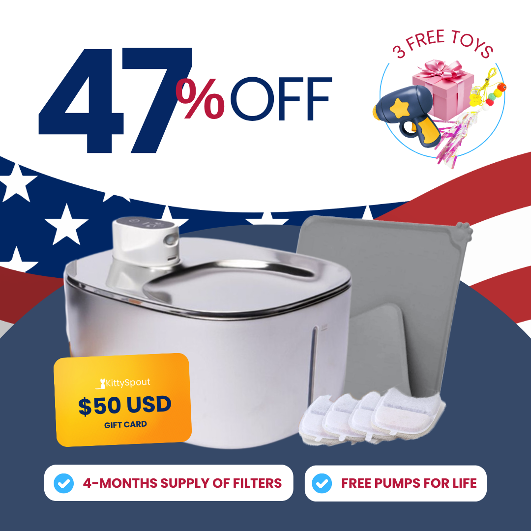 Wireless KittySpout Value - Labor Day Sale (p2)
