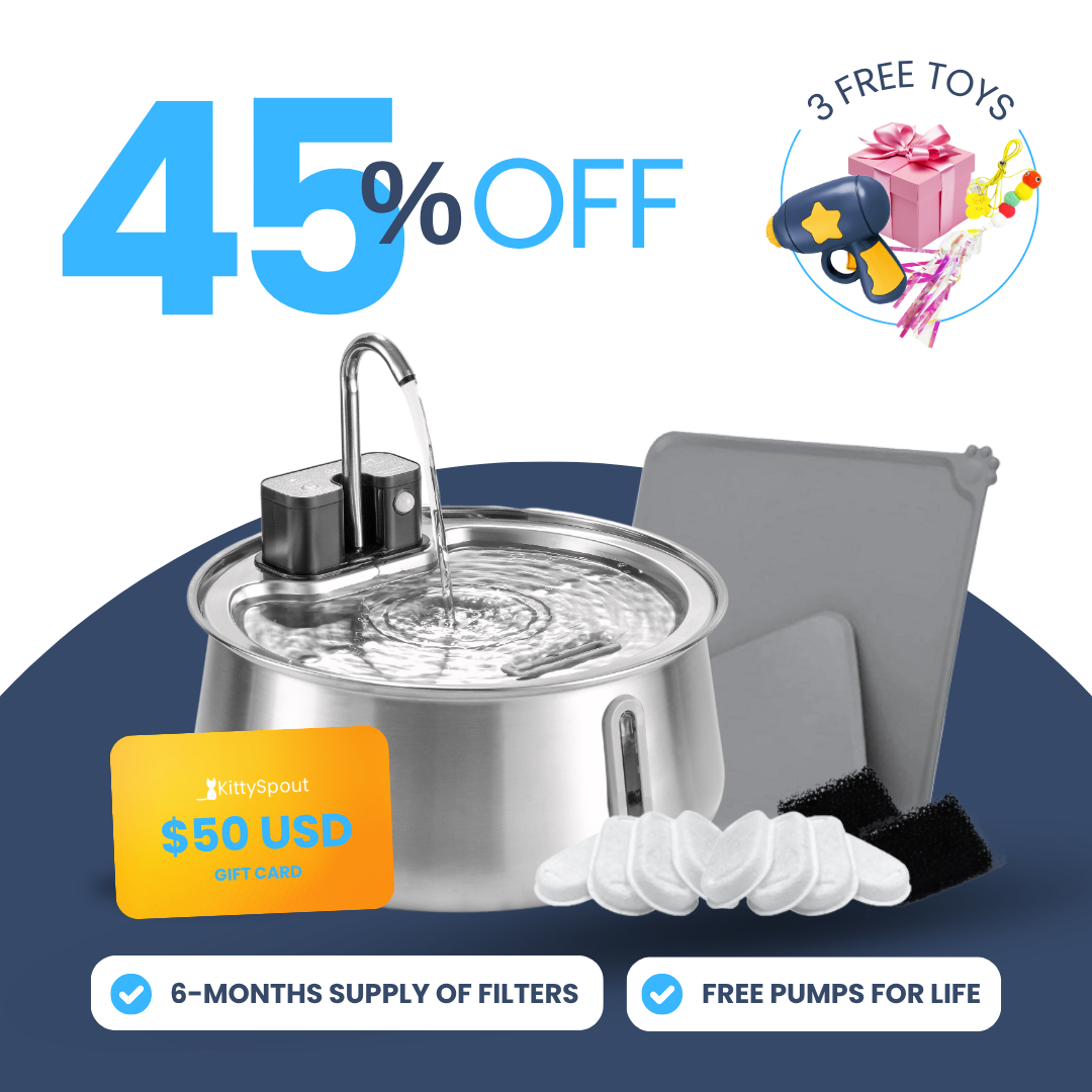 Back to School Sale - Wireless 2.0 KittySpout Value Bundle