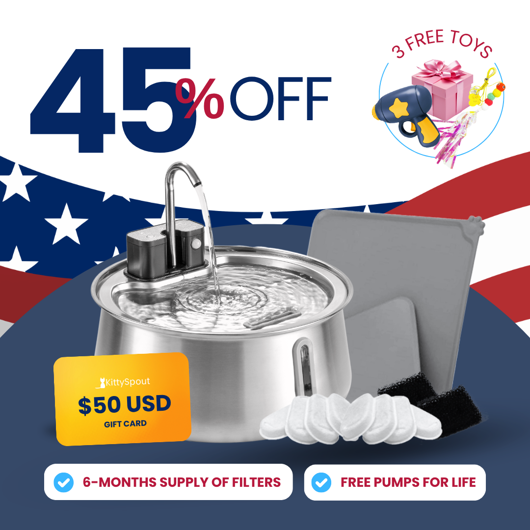 W2.0 KittySpout Value - Labor Day Sale (p3)