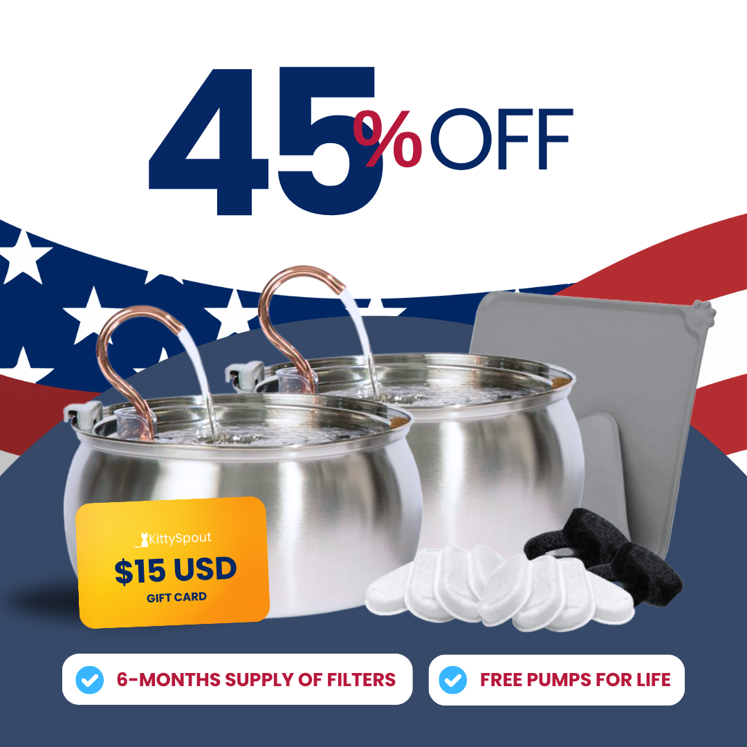 Big Cat Family 4L/3.2L - Labor Day Sale (p5)
