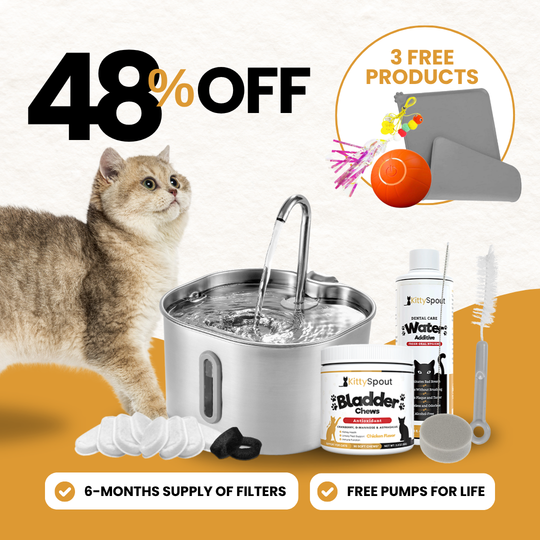KittySpout bundle