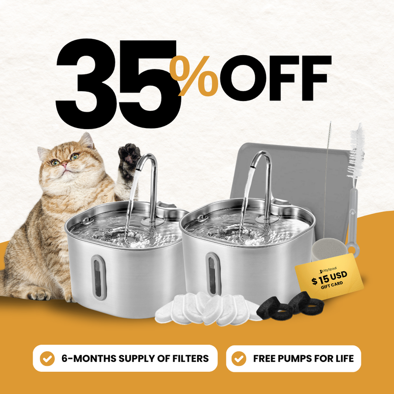 KittySpout bundle