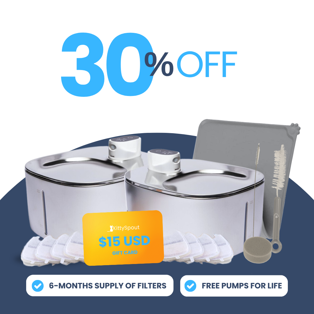 Back to School Sale - Wireless Big Cat Family Bundle