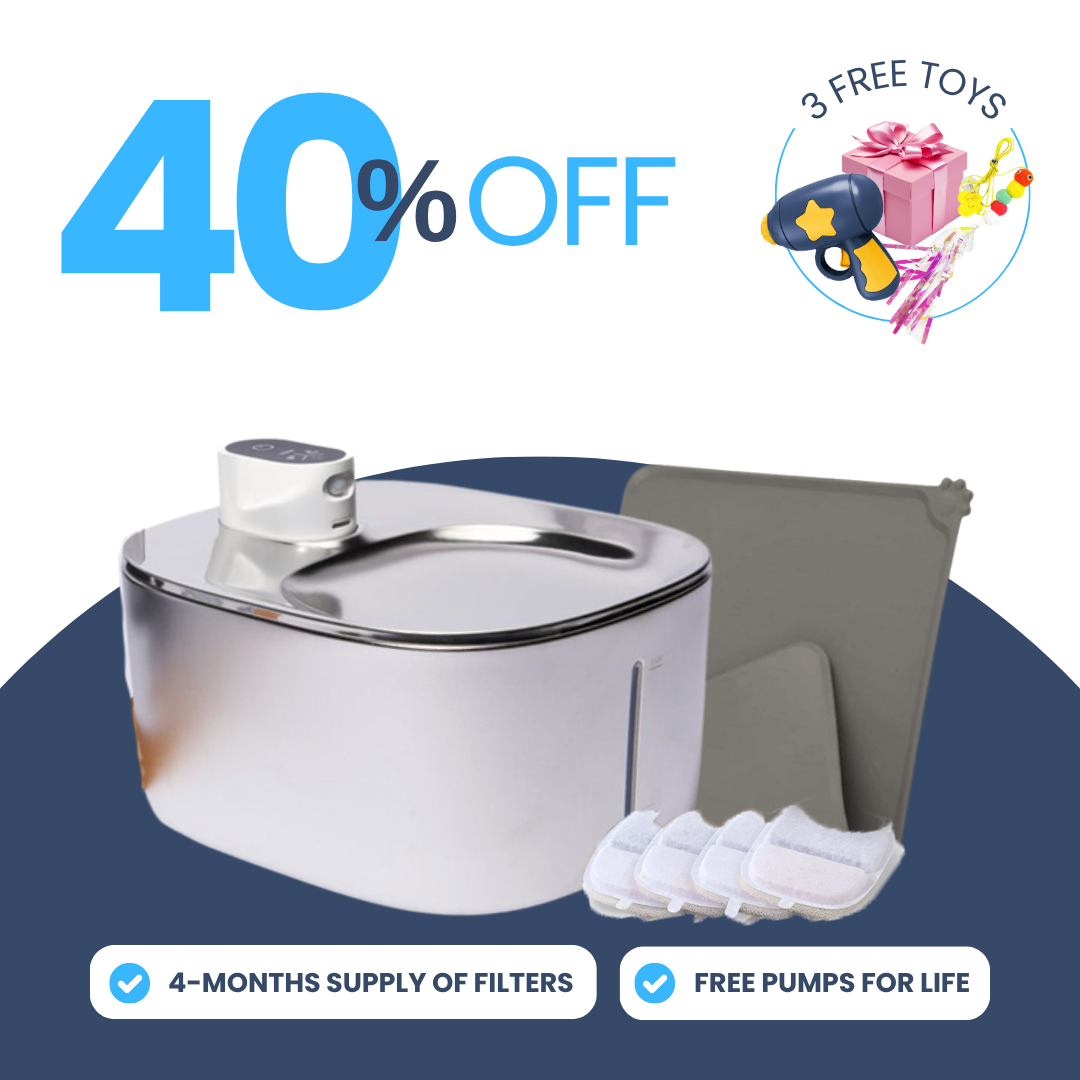 Back to School Sale - Wireless Purrr-fect KittySpout Kit