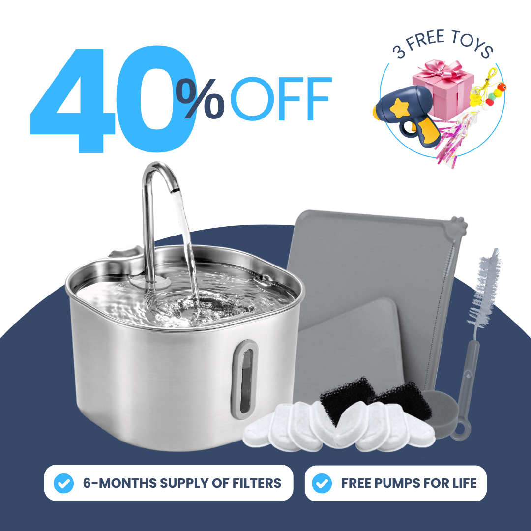 Back to School Sale - 2.2L Purrrfect KittySpout Kit