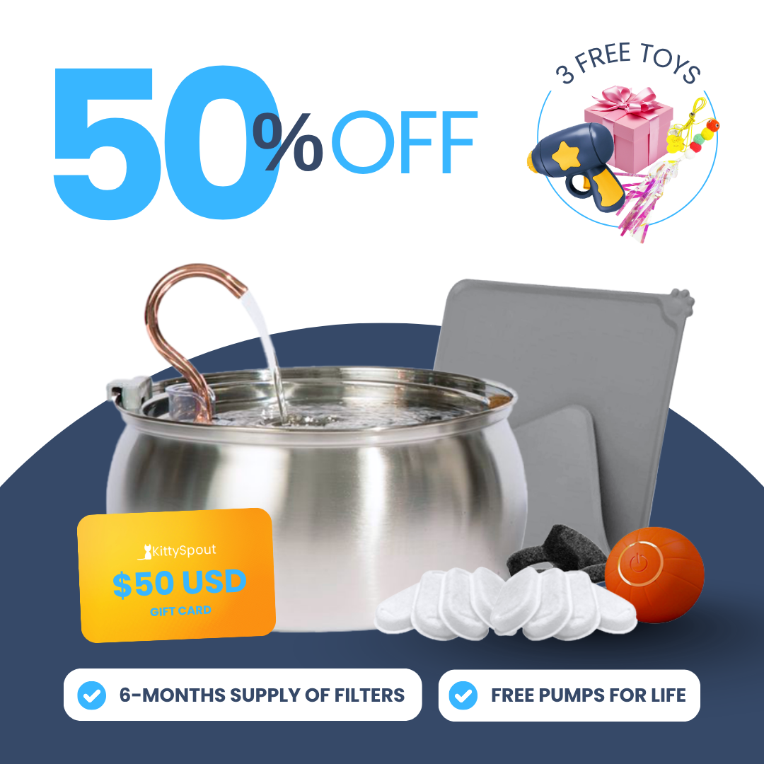 Back to School Sale - Hydration and Playtime Value Bundle