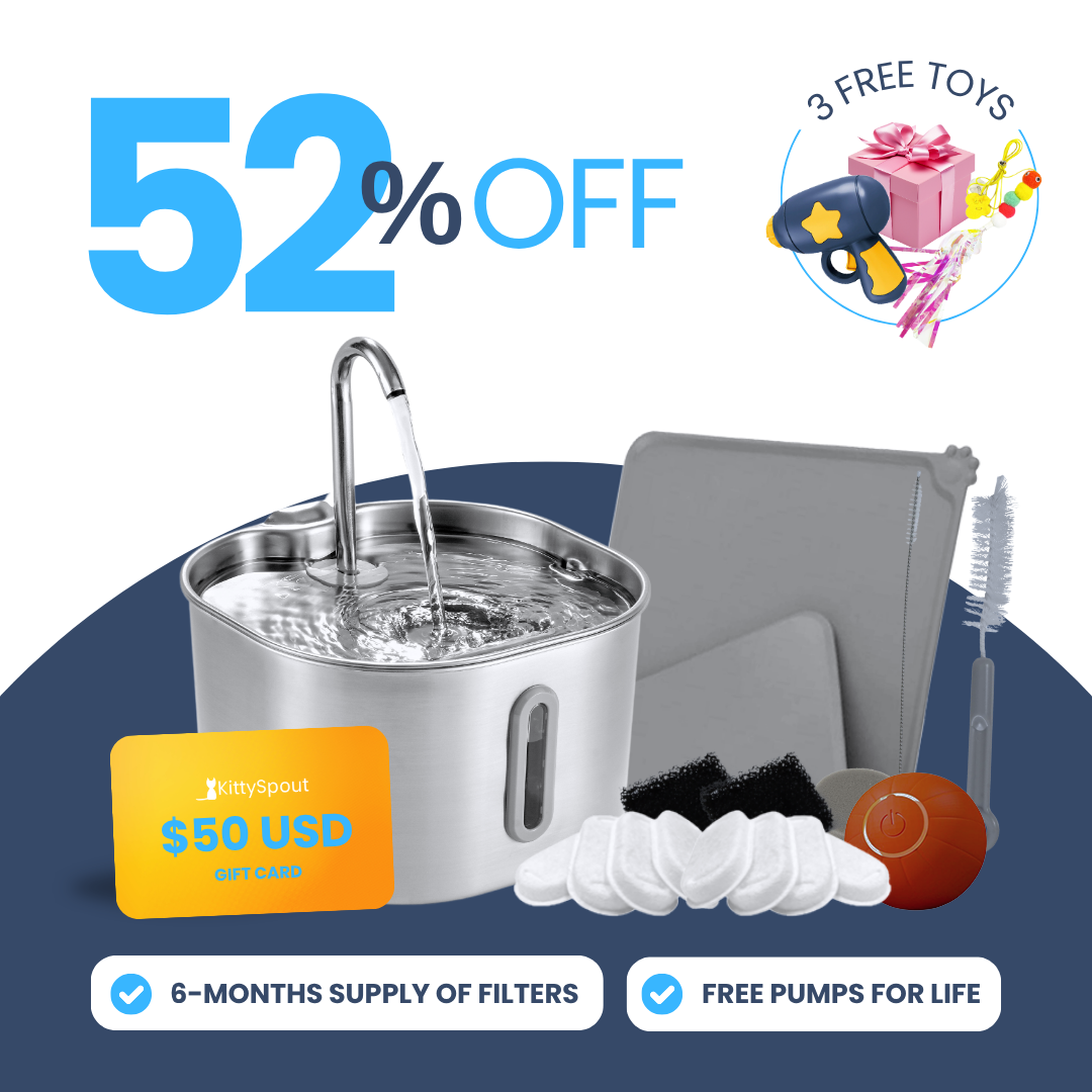 Back to School Sale - 2.2L Hydration and Playtime Value Bundle