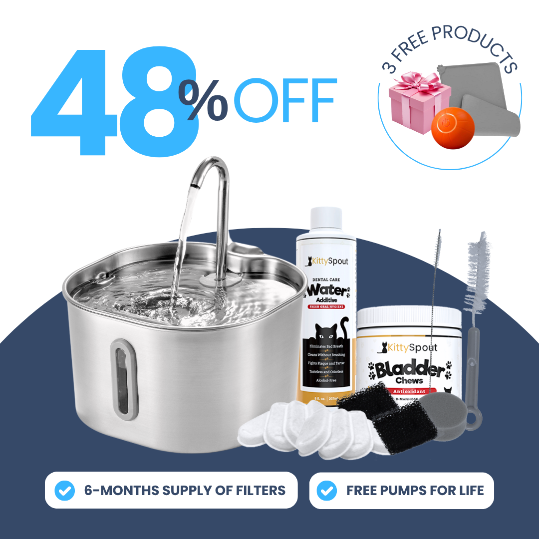 Back to School Sale - 2.2L Hydration and Health Bundle