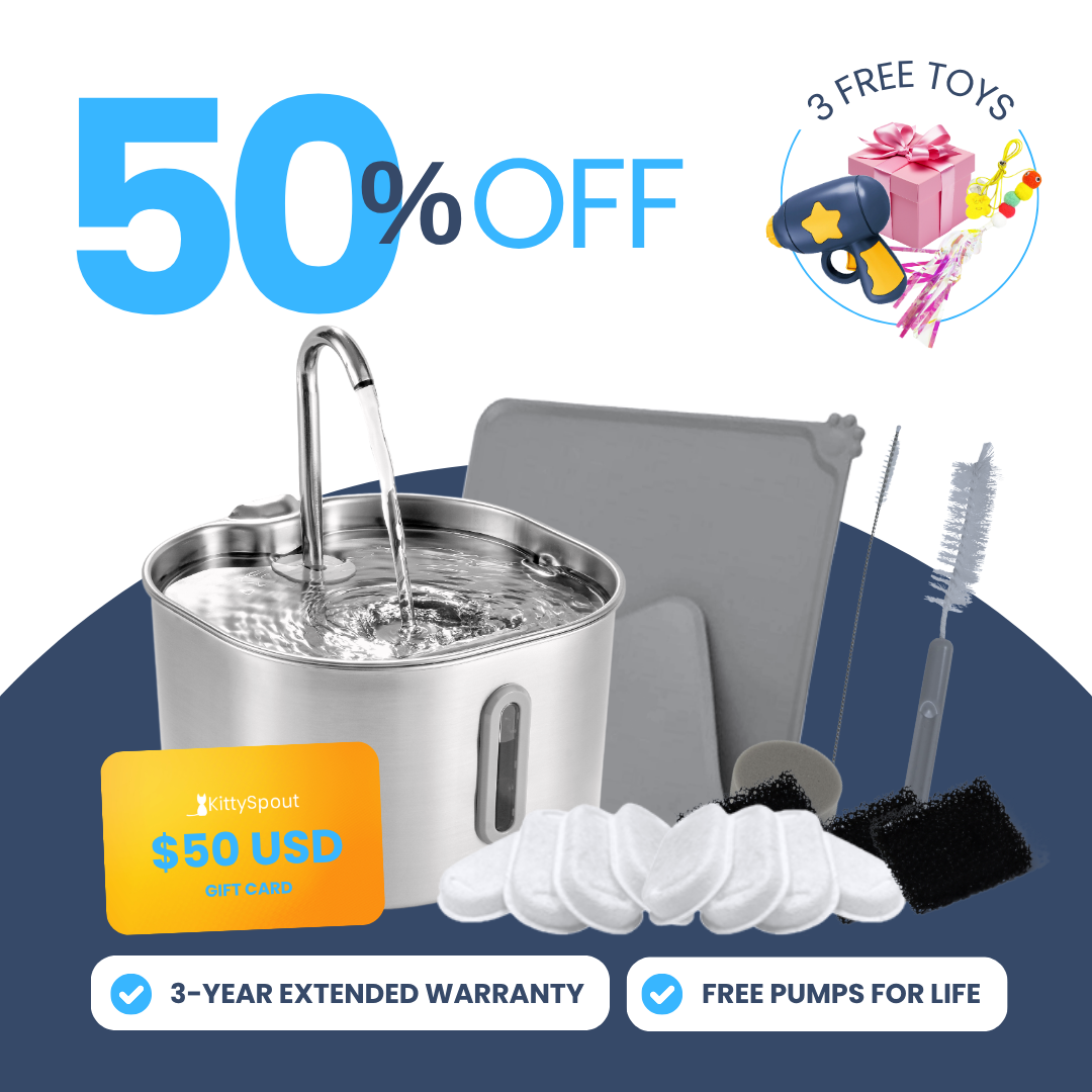 Back to School Sale - 2.2L VIP Value Bundle