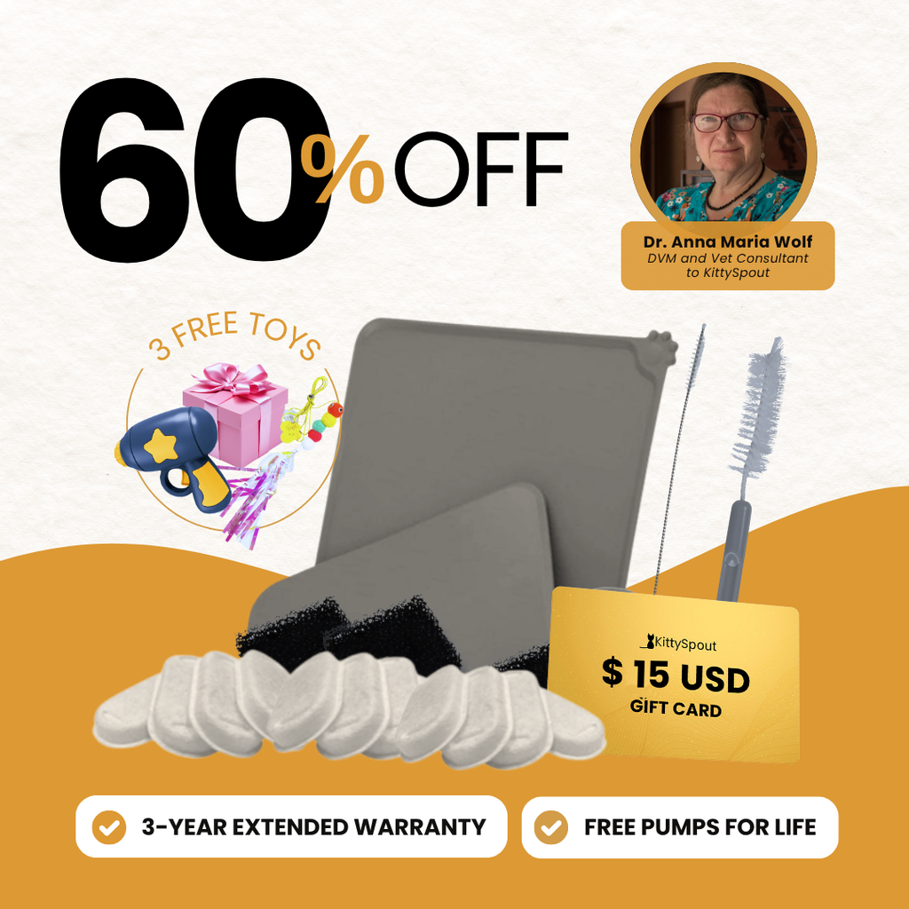 KittySpout bundle
