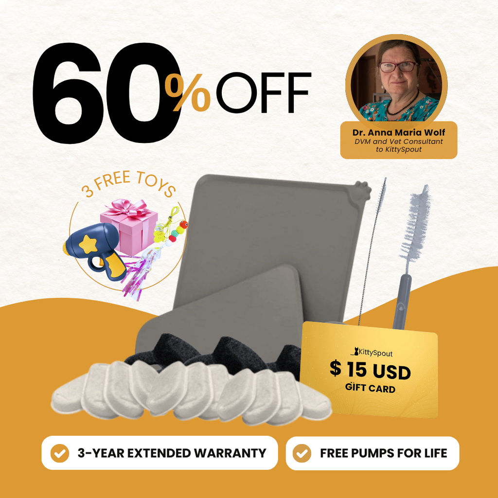 KittySpout bundle