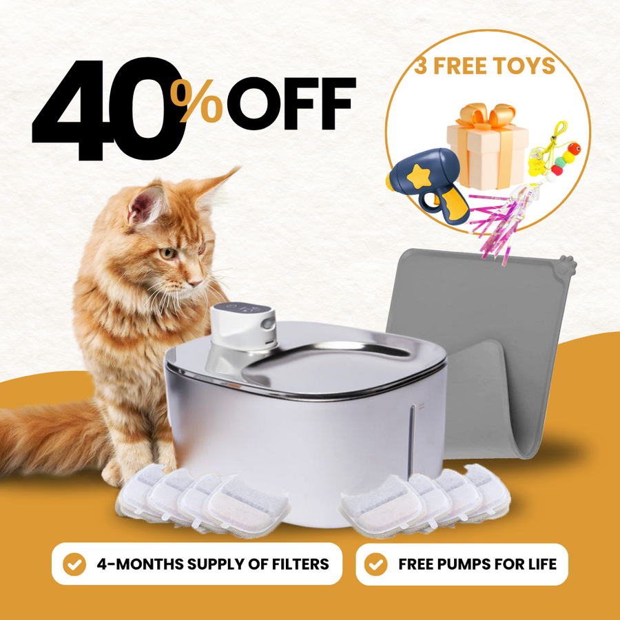 Wireless Purrr-fect KittySpout Kit - evergreen