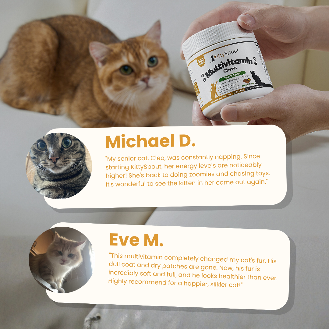 KittySpout Multivitamin Chews - 90 Day Supply