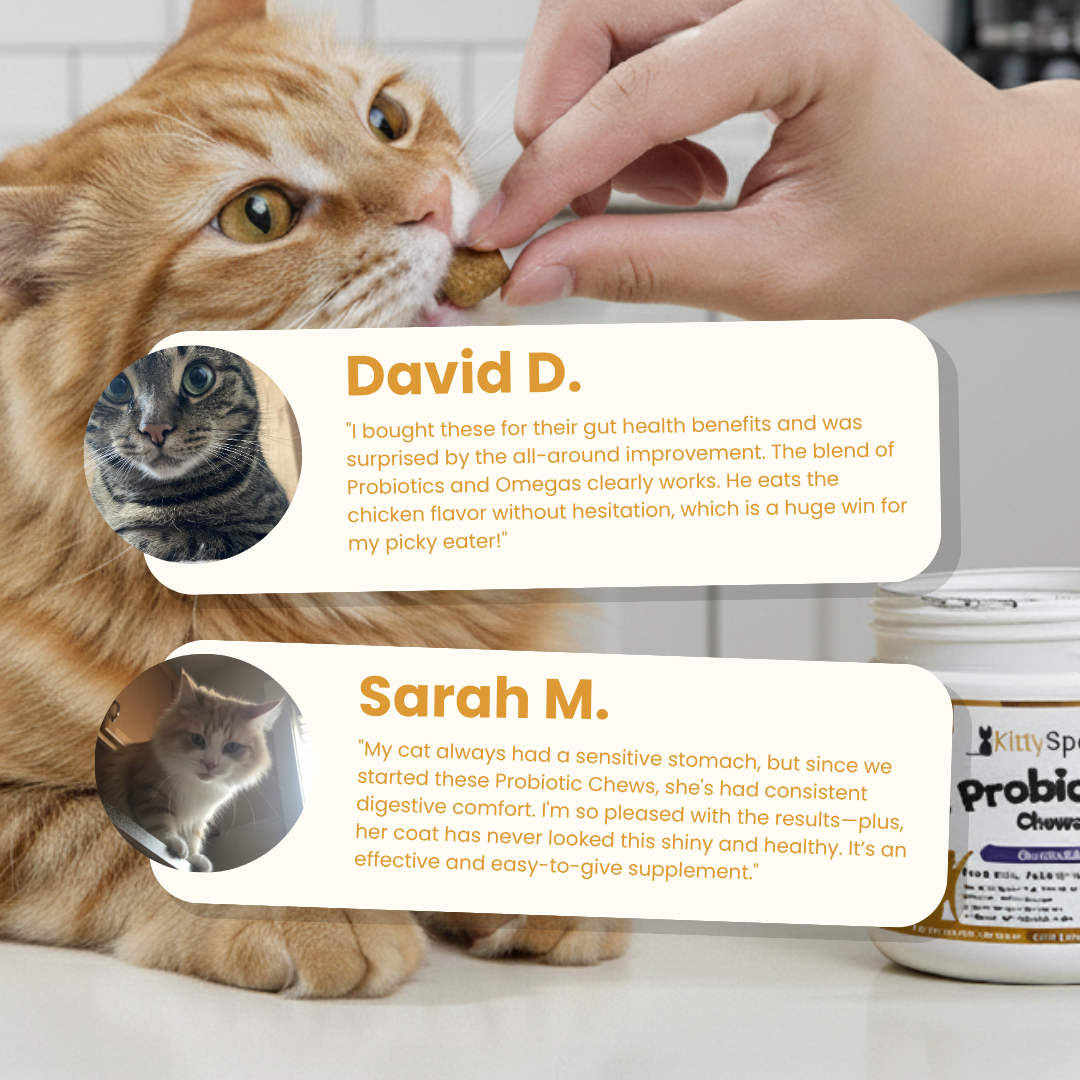 KittySpout Probiotic Chews - 30 Day Supply