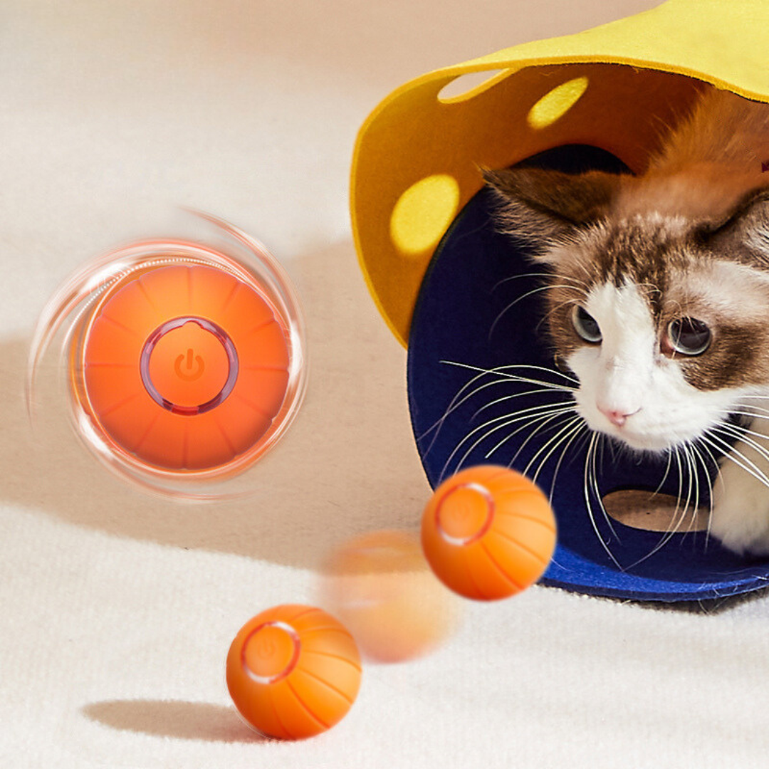 The KittyBall™ - Smart Cat Ball