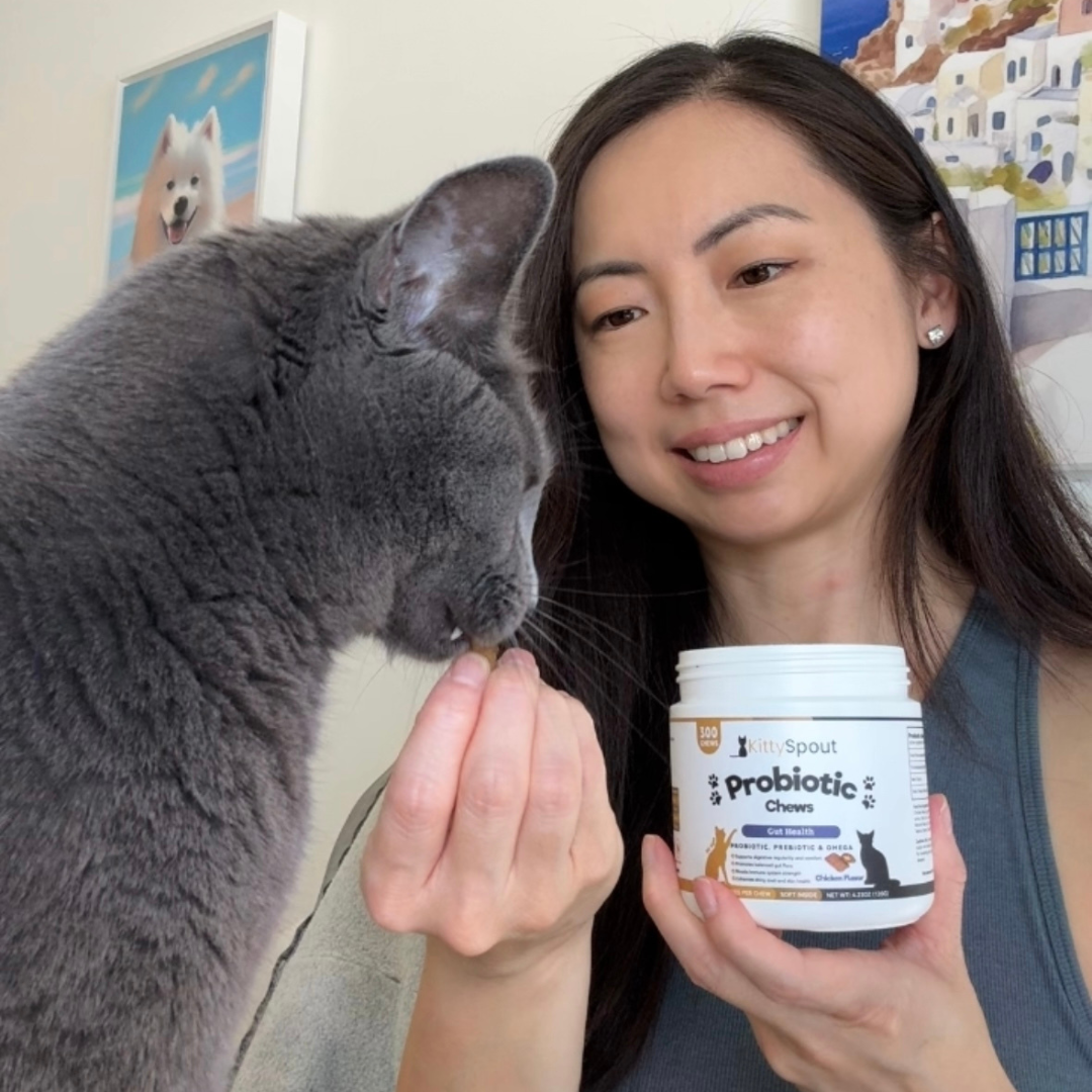 KittyTreats⁺ — Healthy Cat Treats
