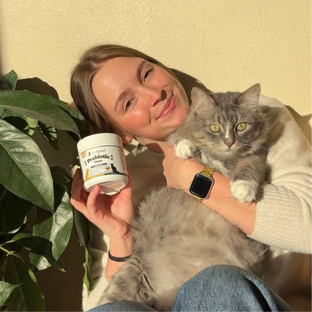 KittyTreats⁺ — Healthy Cat Treats