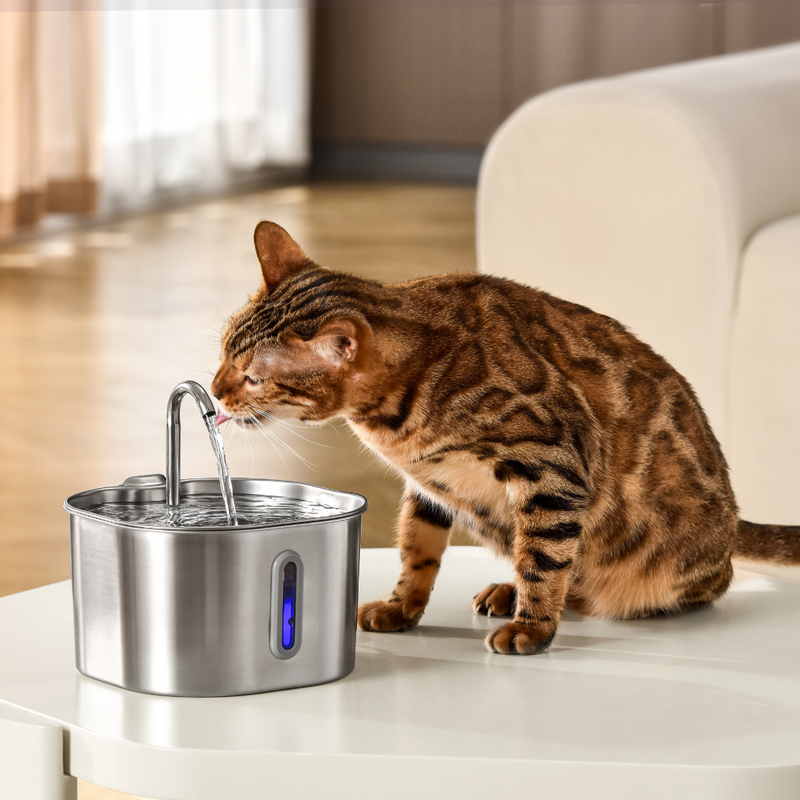 The KittySpout™ - 2.2L Fountain 2–month Kit LP TEST