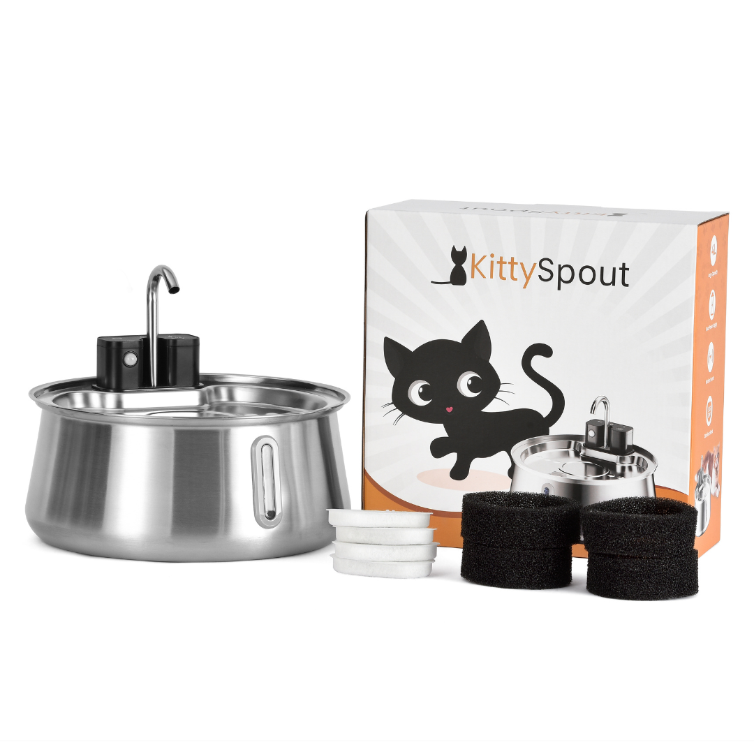 Refurbished The KittySpout - Wireless Fountain (Spout) - 6 Month: Wireless KittySpout + 8 filter sets + free gift