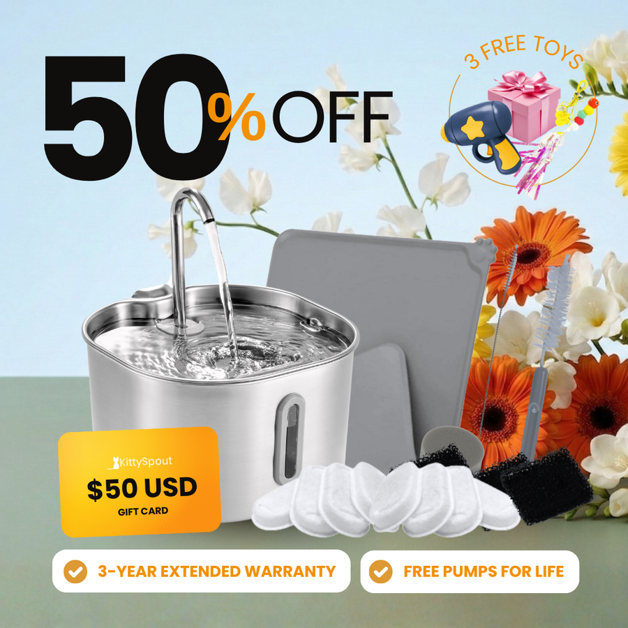 The KittySpout™ - 2.2L VIP Value Bundle