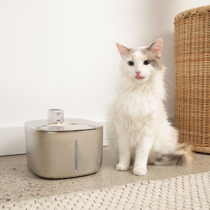 The KittySpout™ - Wireless Fountain Our original wireless fountain