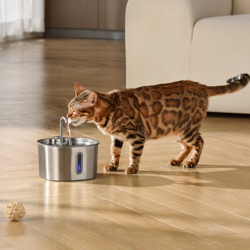 The KittySpout™ - 2.2L Fountain 2–month Kit LP TEST