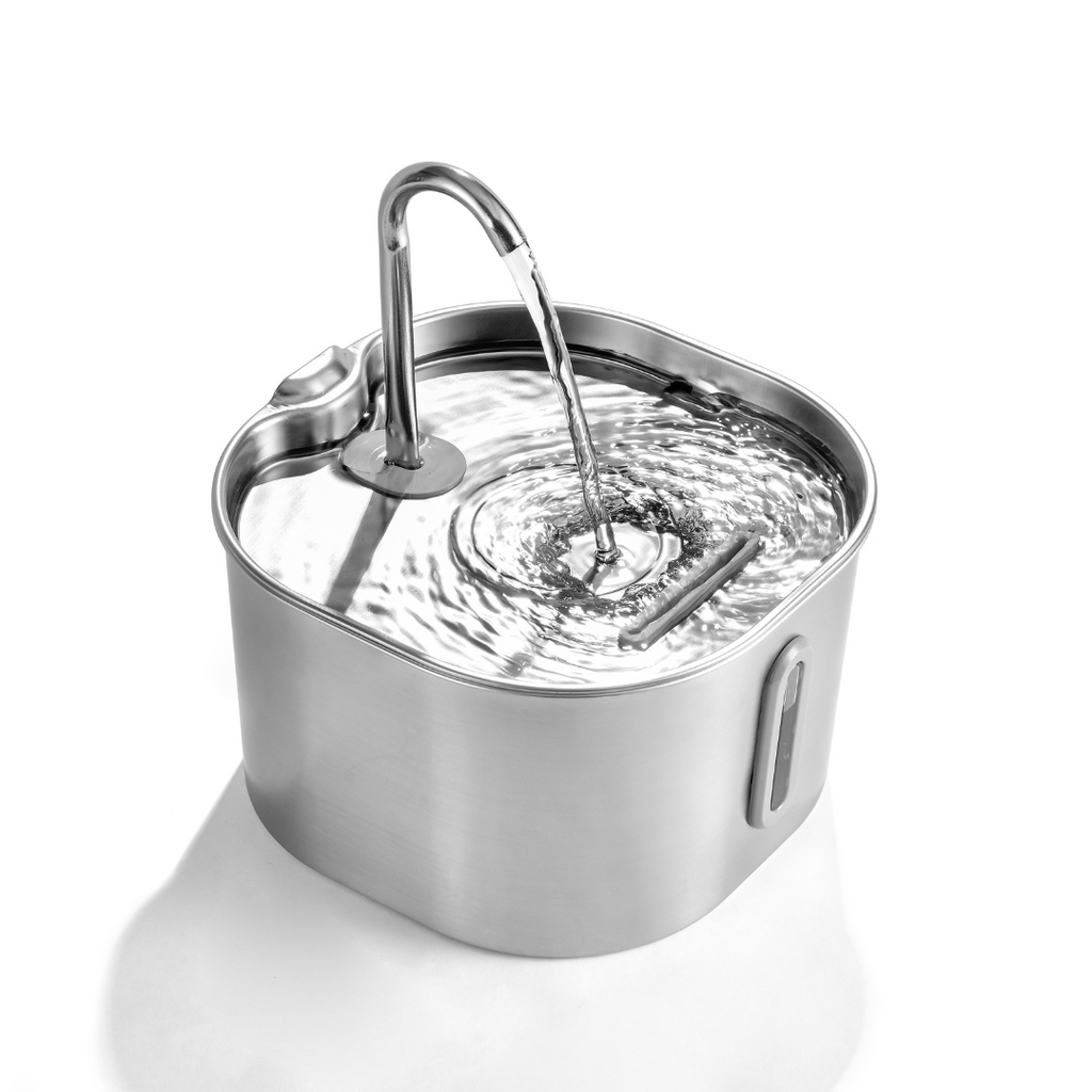 Buy 6 Months of Filters, Get A Free Fountain