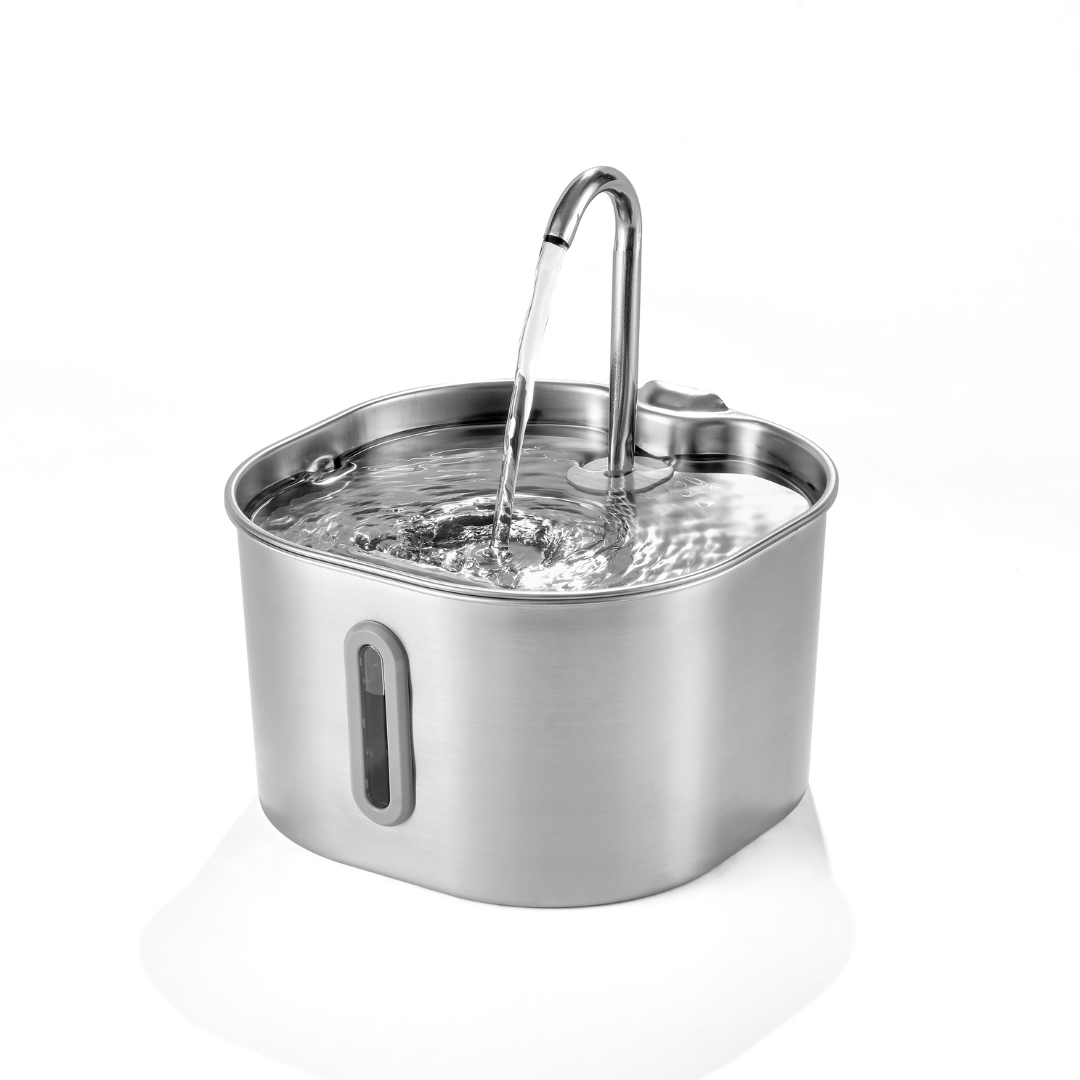 Buy 6 Months of Filters, Get A Free Fountain