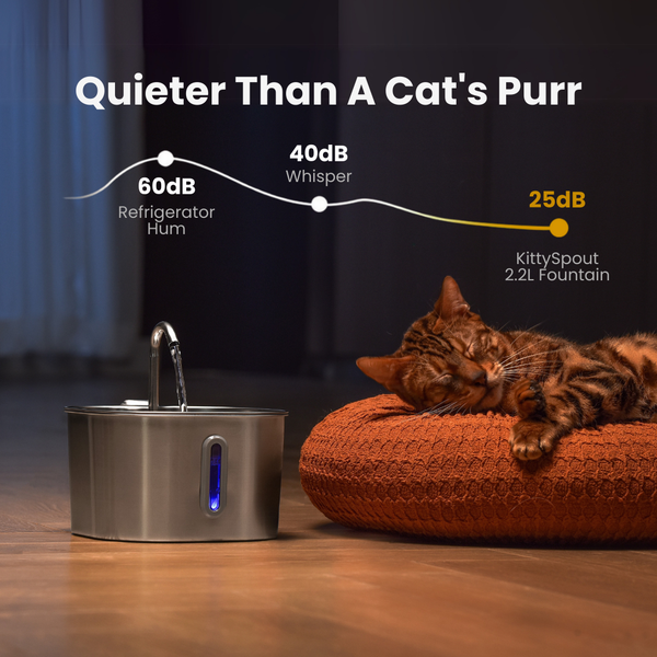 Whisper-Quiet Pump [Cats Don't Notice]