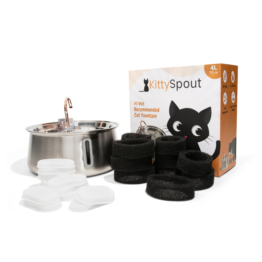 Pre-Owned The KittySpout 2.0 - Health & Happiness Cat Kit - 6 Month: KittySpout + 12 filter sets + extra pump + AC adapter + FREE gift