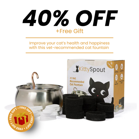 The KittySpout™ - Health & Happiness Cat Kit