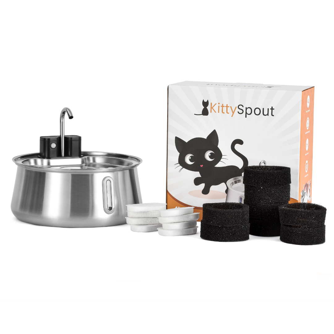 Refurbished The KittySpout - Wireless Fountain (Spout) - 4 Month: Wireless KittySpout + 8 filter sets + free gift