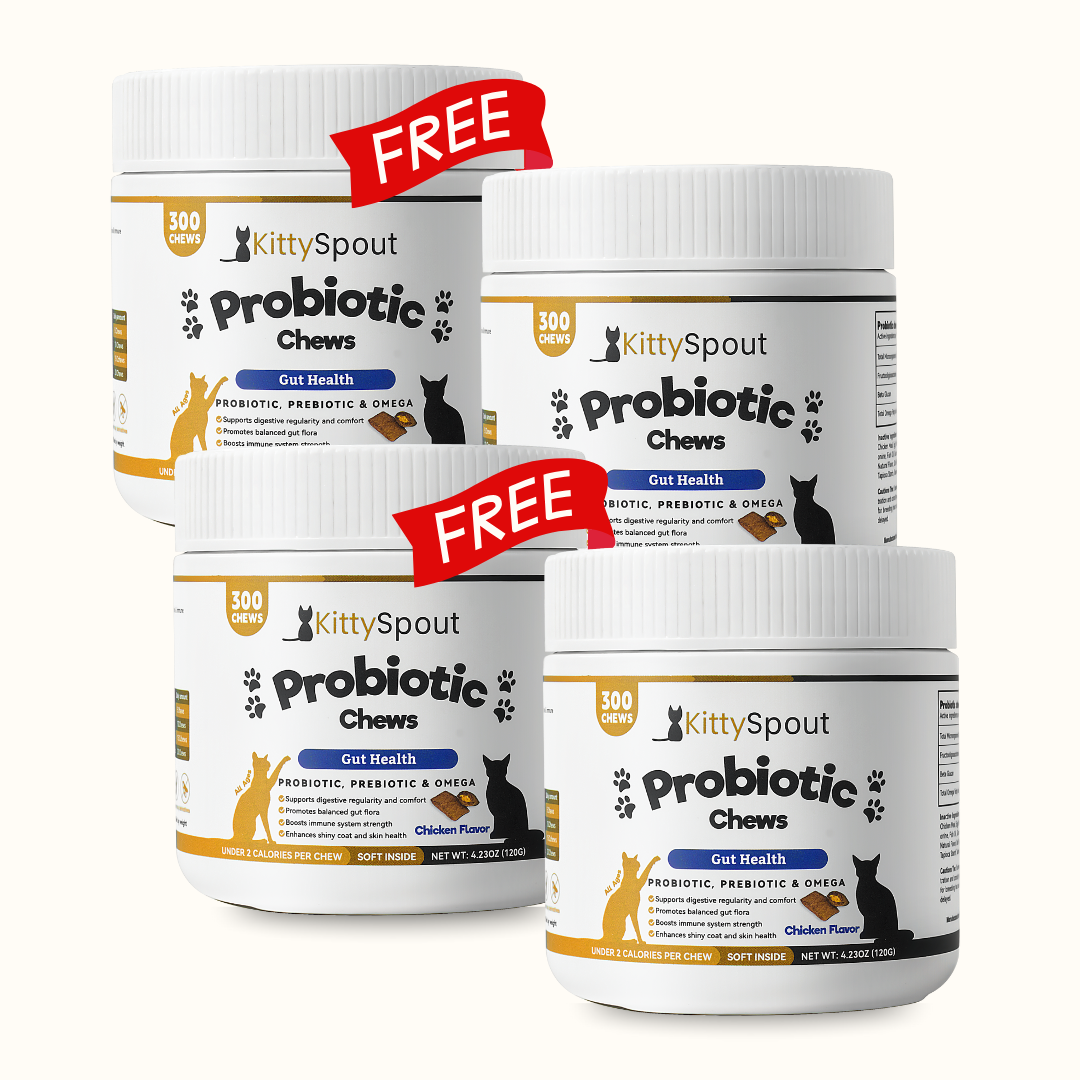 Probiotic Chews For Cats