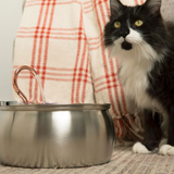 Il KittySpout™ thumbnail