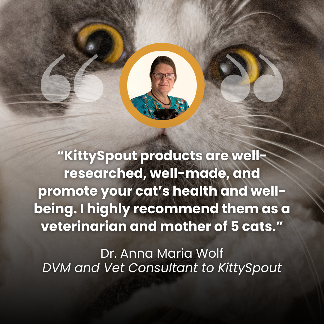 Le KittySpout™