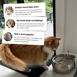 Der KittySpout™ thumbnail