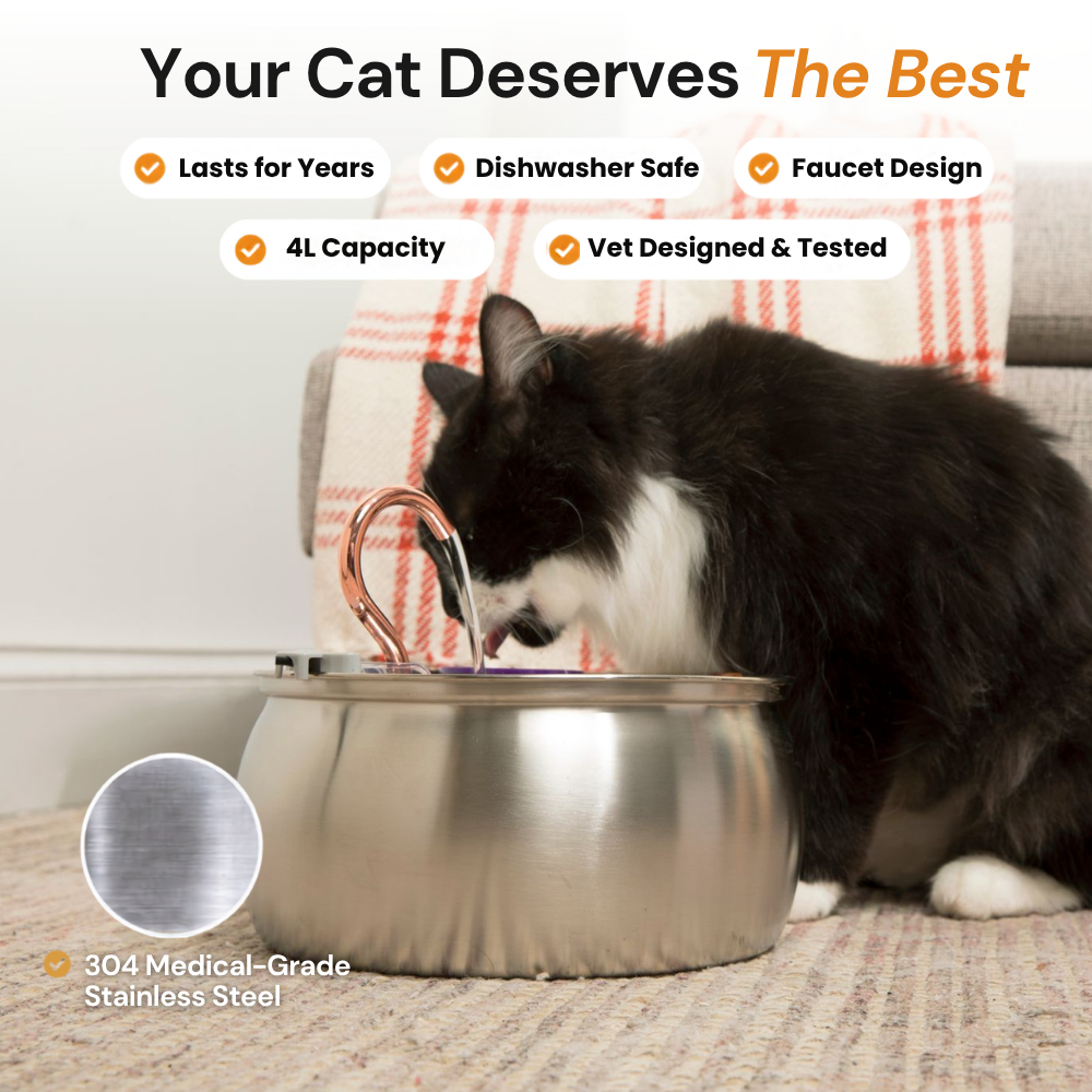 Kittyspout product view