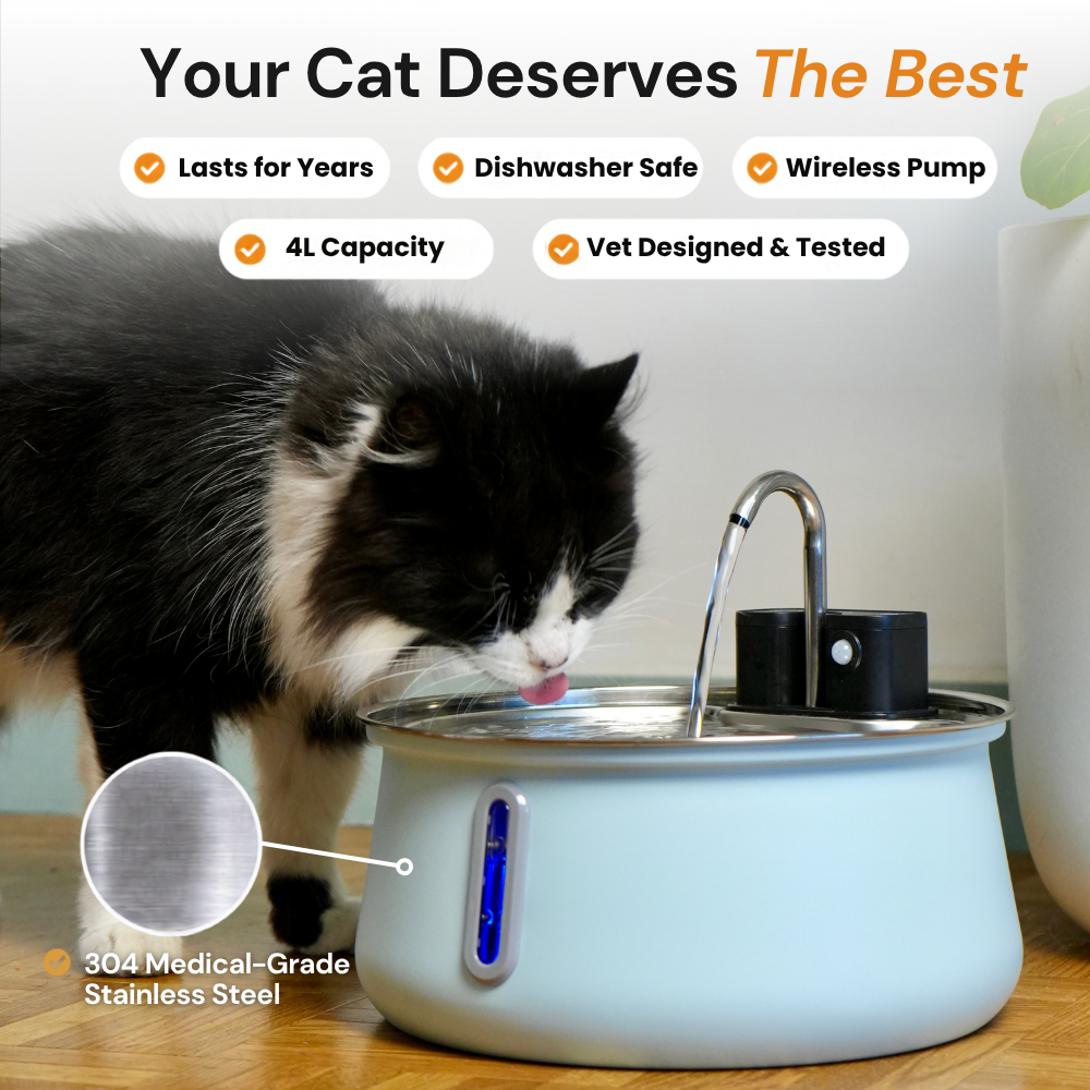 Kittyspout product view