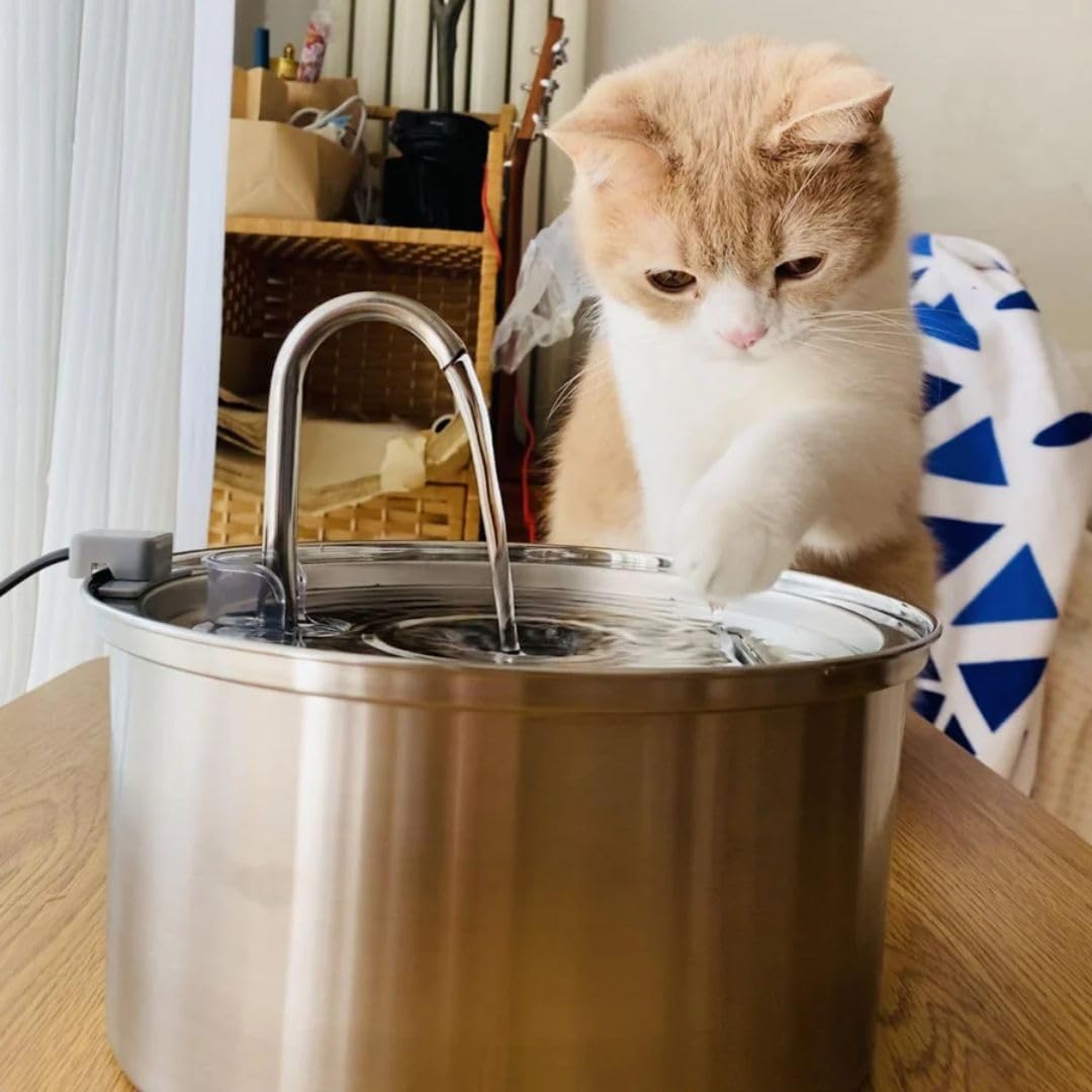 Like New KittySpout MFM0300 Stainless Steel Cat Water Fountain 3.2L/108oz - Durable, Quiet, Easy to Clean
