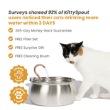Il KittySpout™ thumbnail