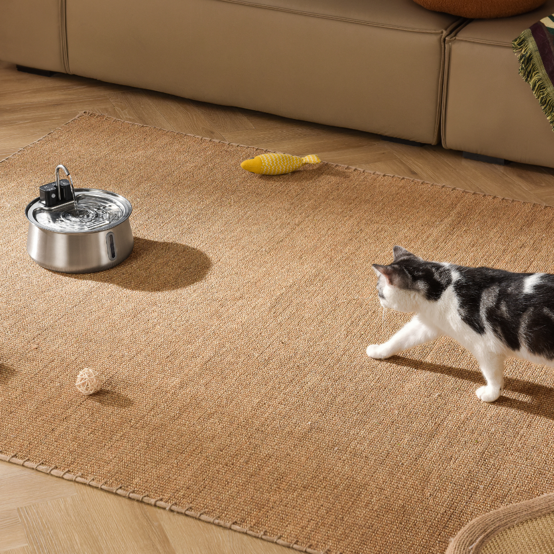 Refurbished The KittySpout - Wireless Fountain (Spout) - 6 Month: Wireless KittySpout + 8 filter sets + free gift