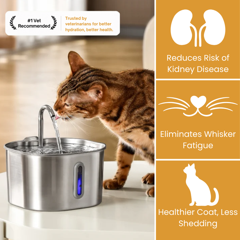 The KittySpout™ - 2.2L Fountain Health and Happiness Kit
