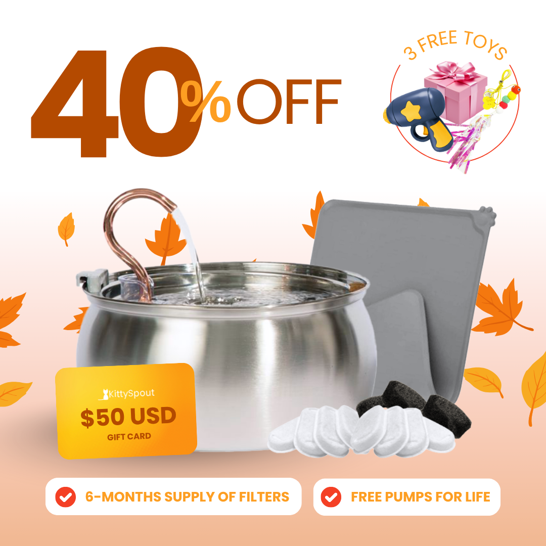 Fall Sale