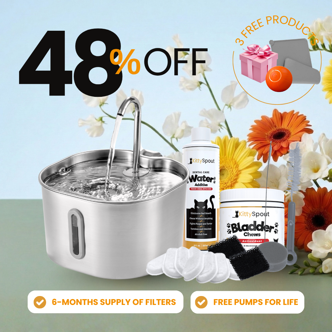 The KittySpout™ - 2.2L Hydration & Health Bundle
