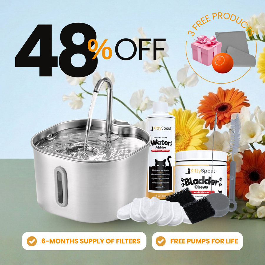 The KittySpout™ - 2.2L Hydration & Health Bundle
