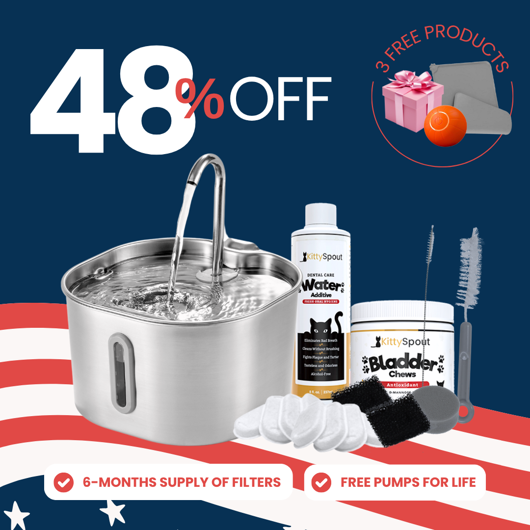 The KittySpout™ - 2.2L Hydration & Health Bundle