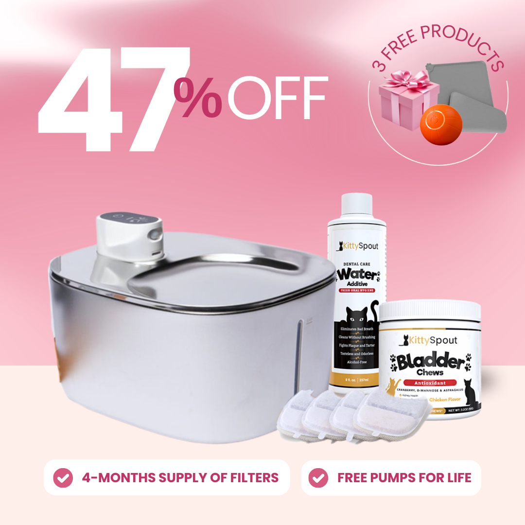 Wireless Hydration & Health Bundle