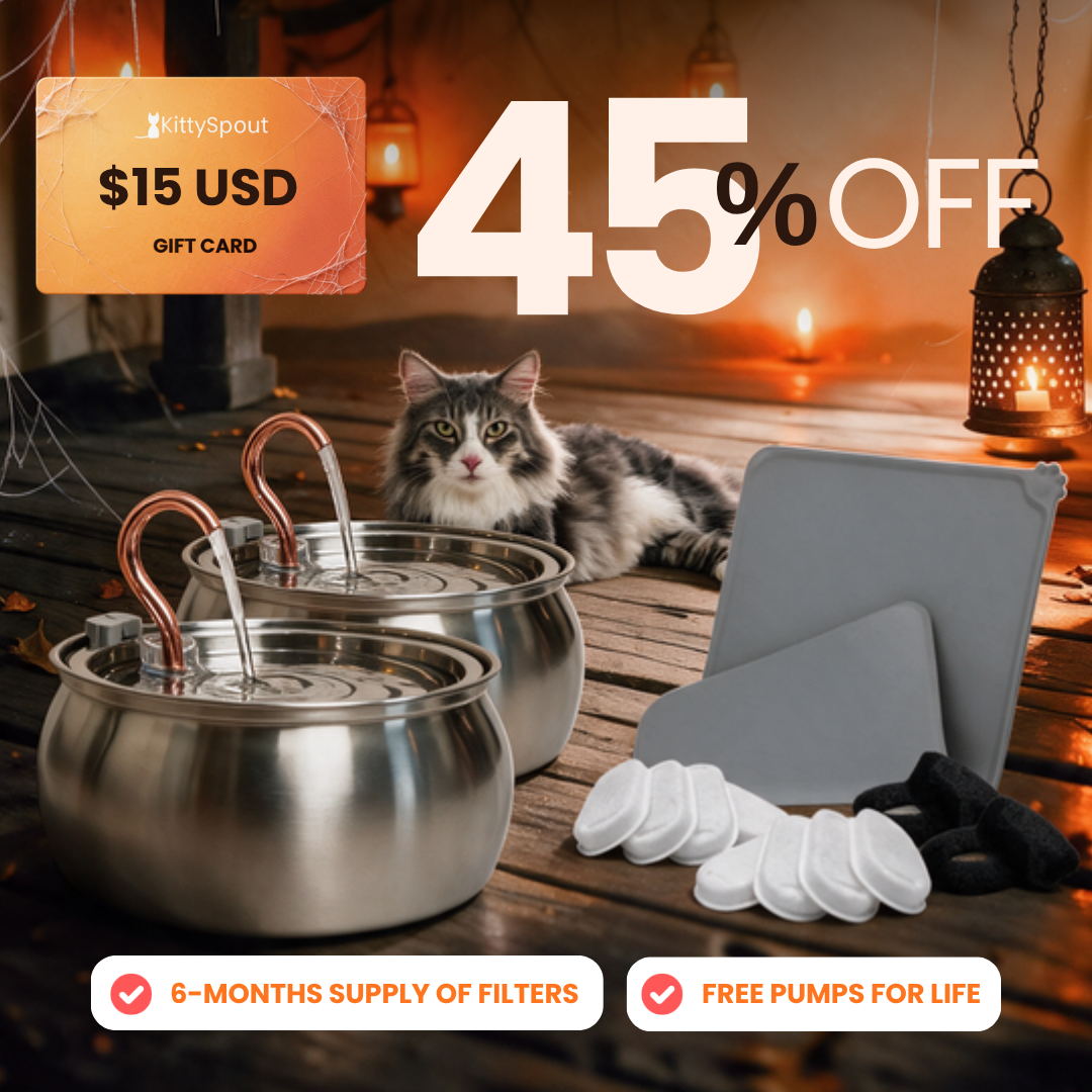 Big Cat Family Bundle
